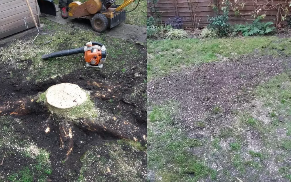 Stump Grinding Services